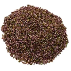 Iphym Bruyère Sommité Fleurie Coupée