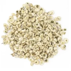 Iphym Camomille romaine capitule entier