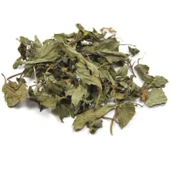 Iphym menthe poivrée feuille mondée
