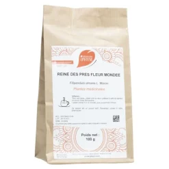 Iphym reine des prés fleur entière