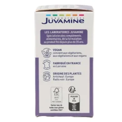 Juvamine Artichaut Radis noir gélules