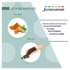 Juvamine Curcuma Pipérine gélules