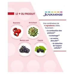 Juvamine Expert Brûle graisse 4 en 1 comprimés