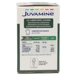 Juvamine Expert Chute de cheveux comprimés