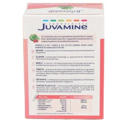 Juvamine Expert minceur 6 en 1 sticks