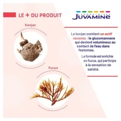 Juvamine Expert Satiété gélules