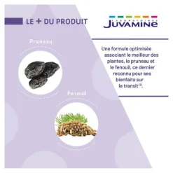 Juvamine Expert Transit gélule
