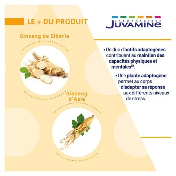 Juvamine Ginseng de Siberie Ginseng d'Asie 890 mg comprimés
