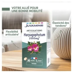 Juvamine Harpagophytum 2000 mg comprimés