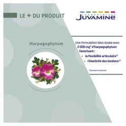 Juvamine Harpagophytum 2000 mg comprimés