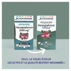 Juvamine Harpagophytum 2000 mg comprimés