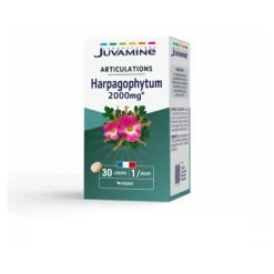 Juvamine Harpagophytum 2000 mg comprimés