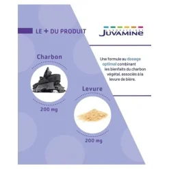 Juvamine Phyto charbon levure gélules