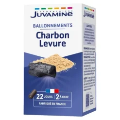 Juvamine Phyto charbon levure gélules