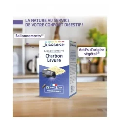 Juvamine Phyto charbon levure gélules