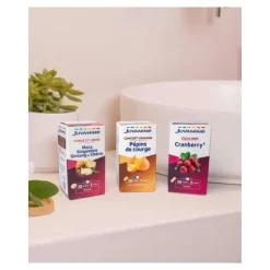Juvamine Phyto Maca Gingembre Ginseng de Sibérie comprimés