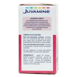 Juvamine Phyto Maca Gingembre Ginseng de Sibérie comprimés