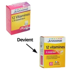 Juvamine 12 vitamines et 9 minéraux comprimés
