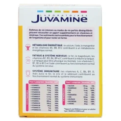 Juvamine 12 vitamines et 9 minéraux comprimés