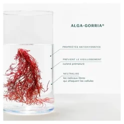 Laboratoires de Biarritz Crème hydratante visage bio