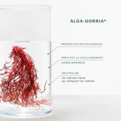 Laboratoires de Biarritz Crème de Biarritz bio
