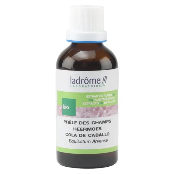 Ladrôme extrait de plante fraîche Bio Prêle des champs