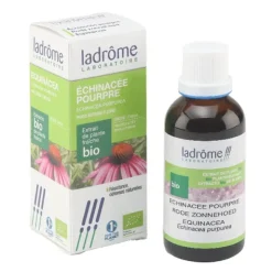 Ladrôme extrait de plante fraîche bio échinacée pourpre