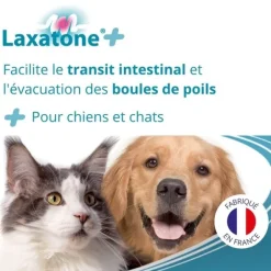 Laxatone Plus pâte orale