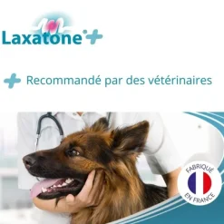 Laxatone Plus pâte orale