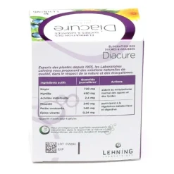 Lehning Diacure gélules