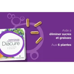 Lehning Diacure gélules