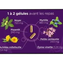Lehning Diacure gélules