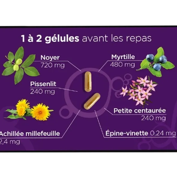 Lehning Diacure gélules