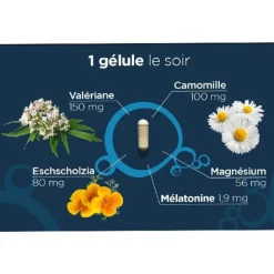 Lehning L72 Nuit gélules