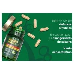 Lehning Propomax Immunité + gélules bio
