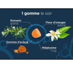 Lehning Pâte Suisse Bonne nuit gommes