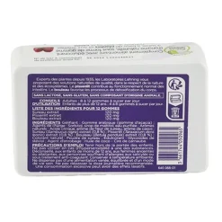 Lehning Pâte Suisse Detox gommes
