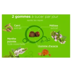 Lehning Pâte suisse Digestion gommes