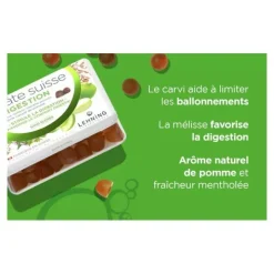 Lehning Pâte suisse Digestion gommes