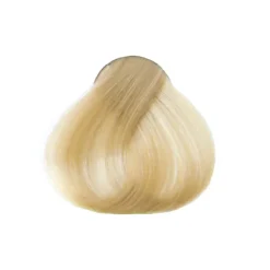 Les 3 Chênes Color et Soin coloration permanente blond platine 10N