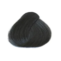 Les 3 Chênes Color et Soin coloration permanente brun azuré 2A