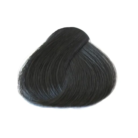 Les 3 Chênes Color et Soin coloration permanente brun azuré 2A
