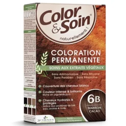 Les 3 Chênes Color et Soin coloration permanente marron cacao 6B