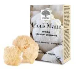 Lion's Mane comprimés