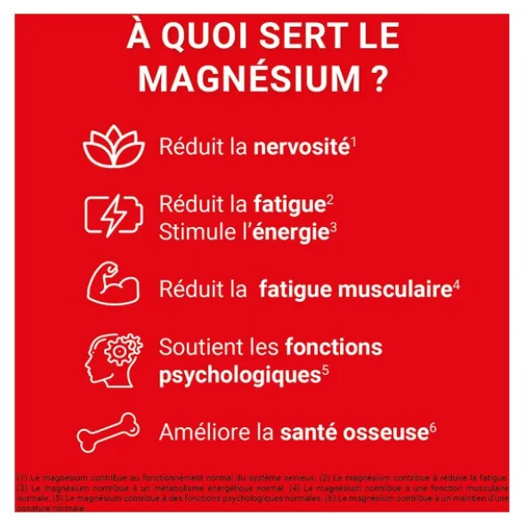 Mag 2 24h Extra Fort comprimés