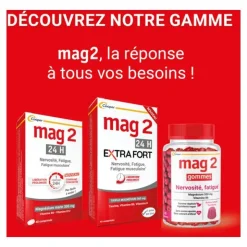 Mag 2 24h Extra Fort comprimés