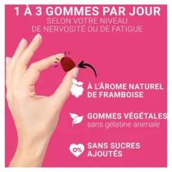 Mag 2 Nervosité Fatigue gummies Framboise