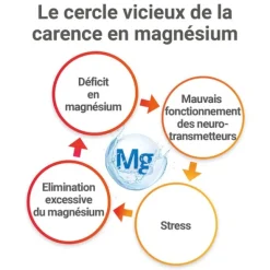 Mag 2 Stick