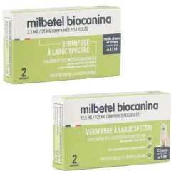 Milbetel Chien vermifuge