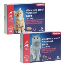 Milbémycine Praziquantel vermifuge chat